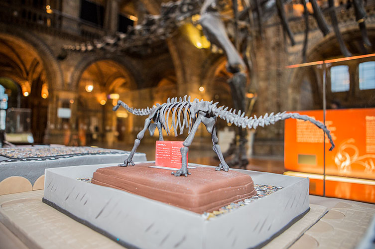 Photo of a cake version of Dippy with the real, large version visible in the background