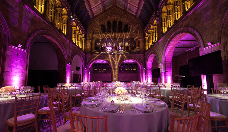 North Hall at the Natural History Museum dressed for an event