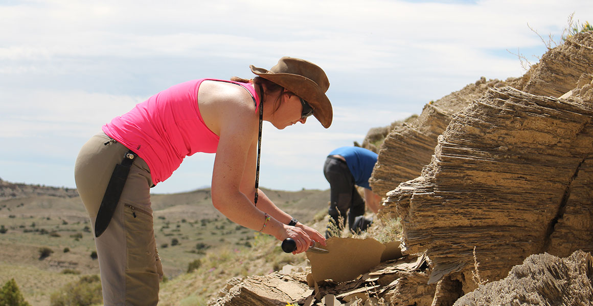 Museum palaeontologist Susie Maidment working on excavating a fossil