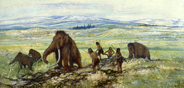 Extinction of large mammals in the Late Quaternary ice age