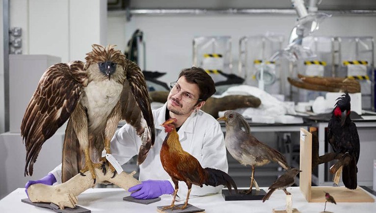 A photo of a scientist surrounded by stuffed birds