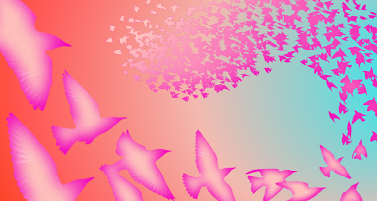 Image of pink birds graphic on top of a blue and coral background