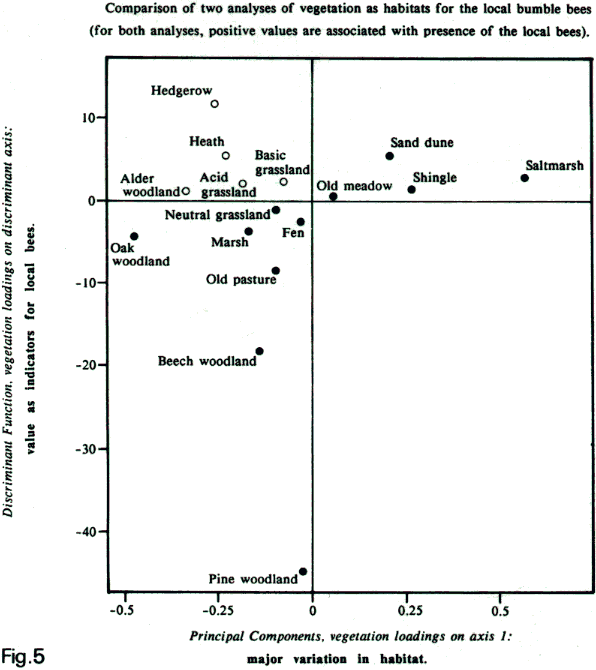 variation in vegetation as habitat