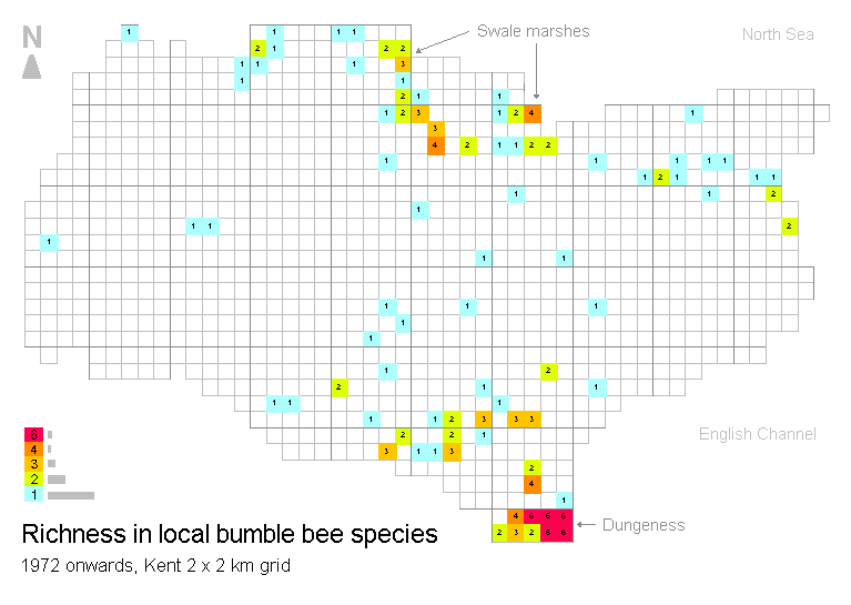 Kent richness in 6 local species