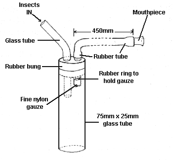 Construction of a suitable aspirator for collecting small insects