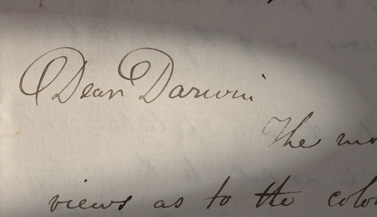 Letter sent to Charles Darwin by Alfred Russel Wallace