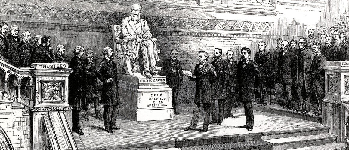 Illustration of our Darwin statue being unveiled