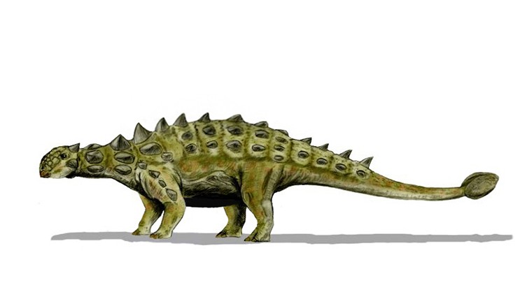 Novo dinossauro descoberto tem armadura de espinhos nunca antes vista -  TecMundo
