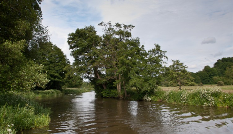 A bend in the River Wey